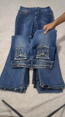 A descriptive alt text for this image