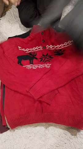 A descriptive alt text for this image