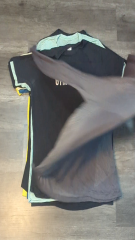 A descriptive alt text for this image
