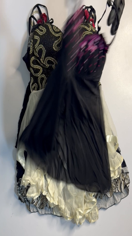 A descriptive alt text for this image