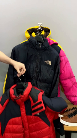 A descriptive alt text for this image