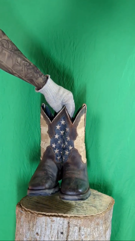 A descriptive alt text for this image