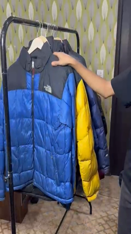 A descriptive alt text for this image