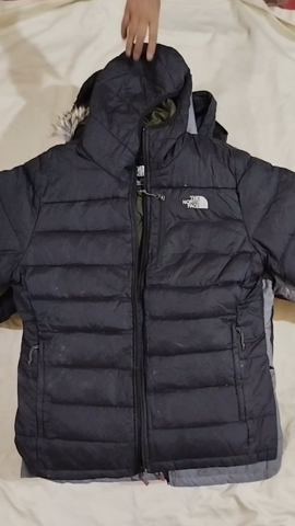 A descriptive alt text for this image