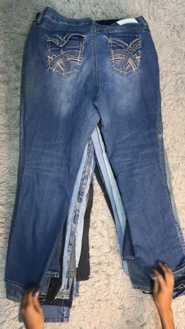 A descriptive alt text for this image