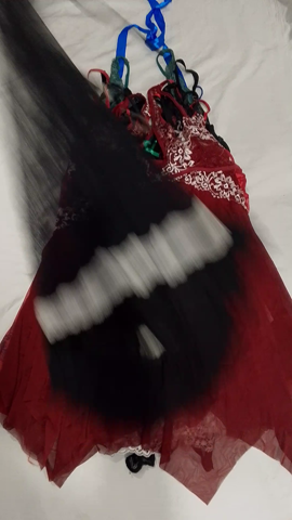 A descriptive alt text for this image