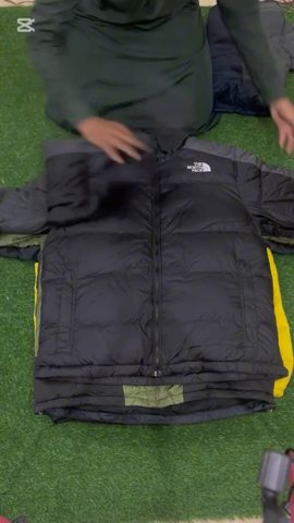 A descriptive alt text for this image