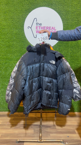 A descriptive alt text for this image