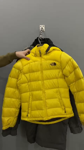 A descriptive alt text for this image