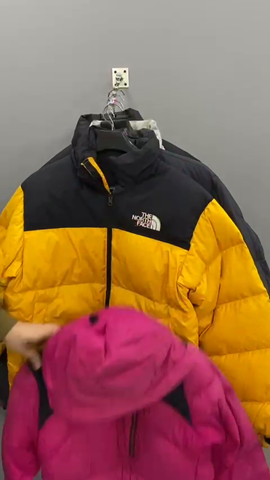 A descriptive alt text for this image