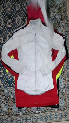 A descriptive alt text for this image