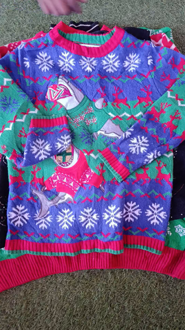 A descriptive alt text for this image