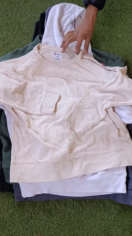 A descriptive alt text for this image