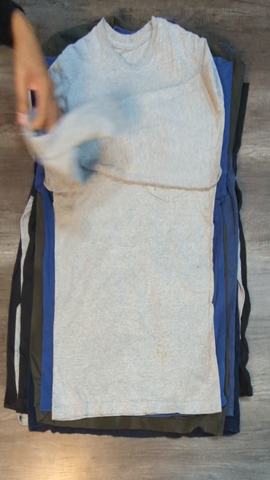 A descriptive alt text for this image