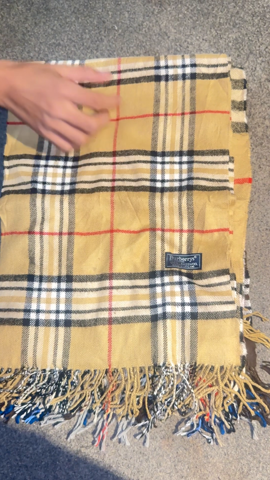 A descriptive alt text for this image