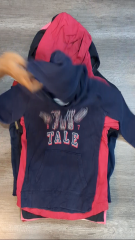 A descriptive alt text for this image