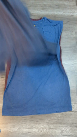 A descriptive alt text for this image