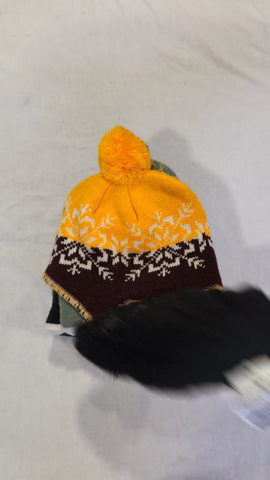 A descriptive alt text for this image