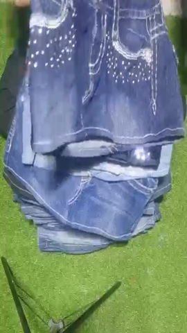 A descriptive alt text for this image