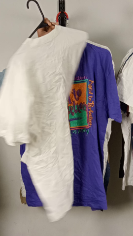 A descriptive alt text for this image