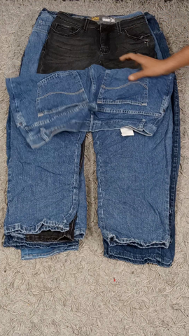 A descriptive alt text for this image
