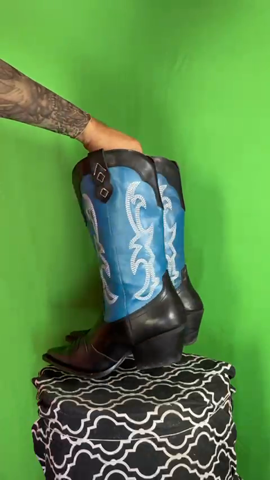 A descriptive alt text for this image