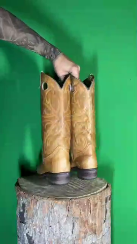 A descriptive alt text for this image