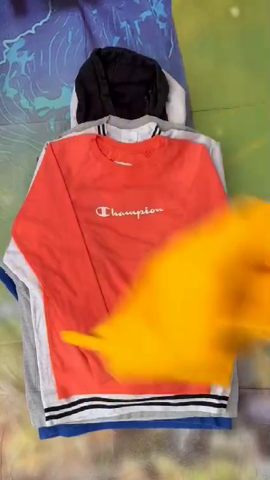 A descriptive alt text for this image
