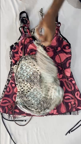 A descriptive alt text for this image