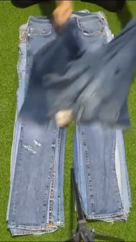 A descriptive alt text for this image