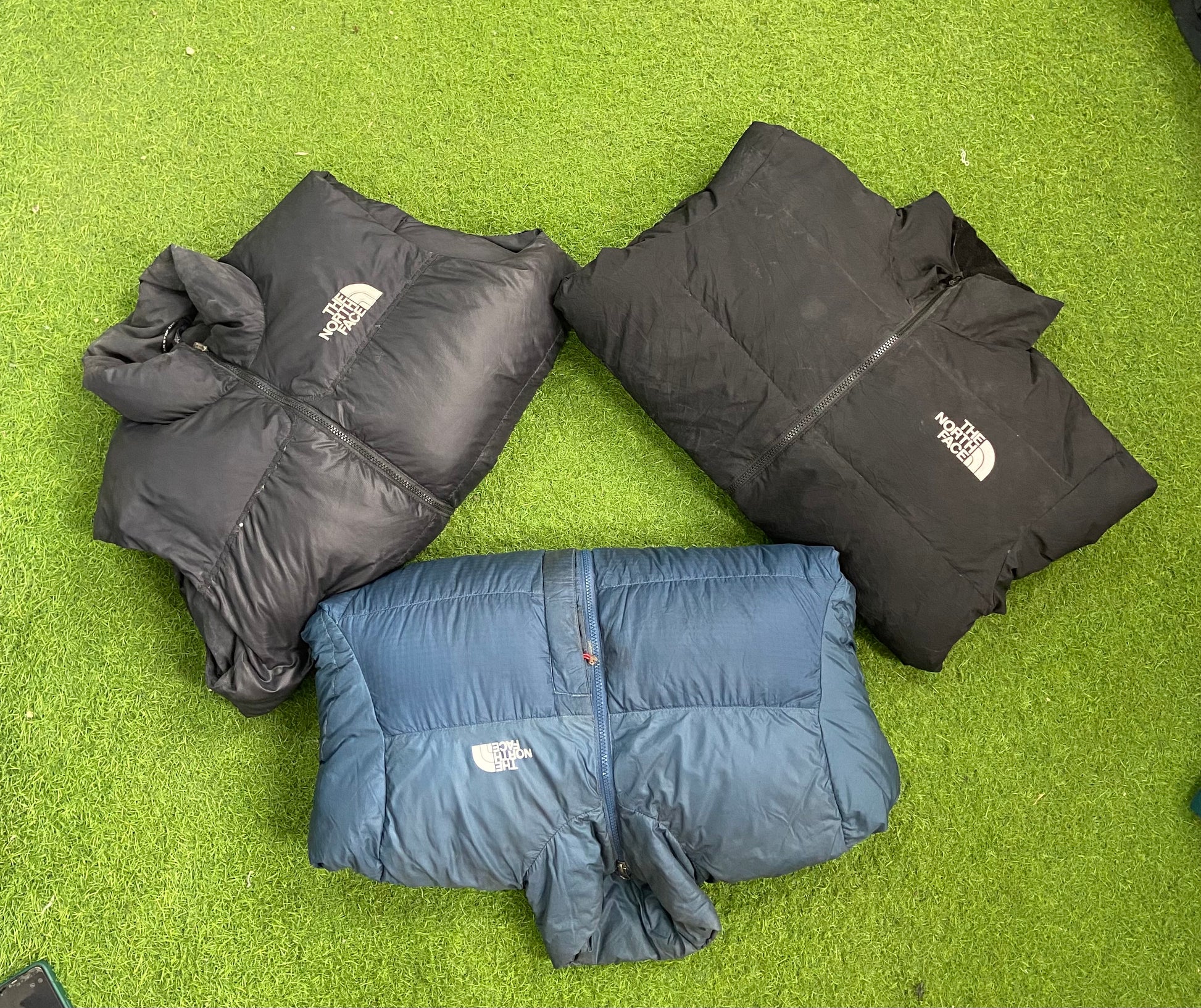 A descriptive alt text for this image