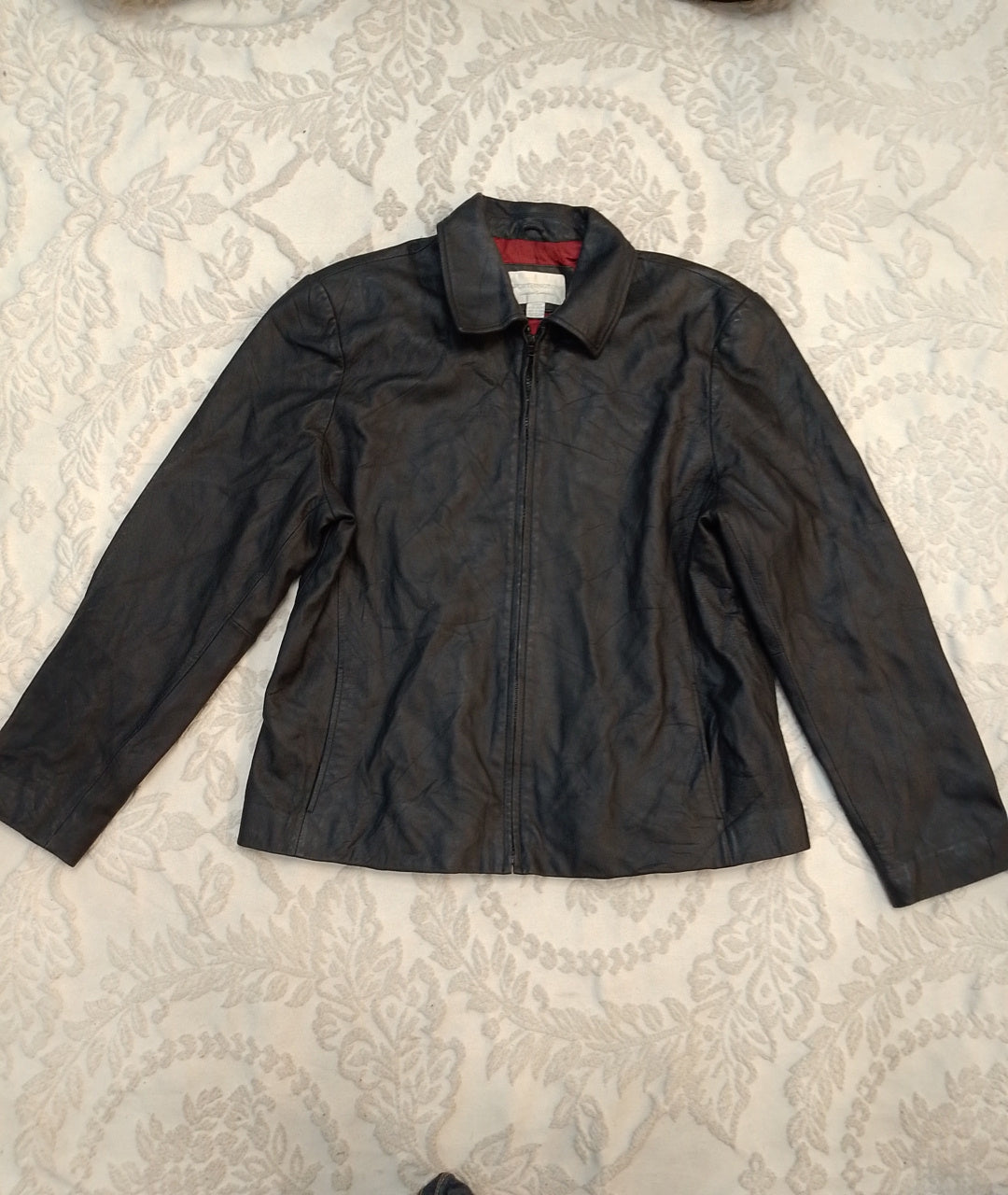 A descriptive alt text for this image