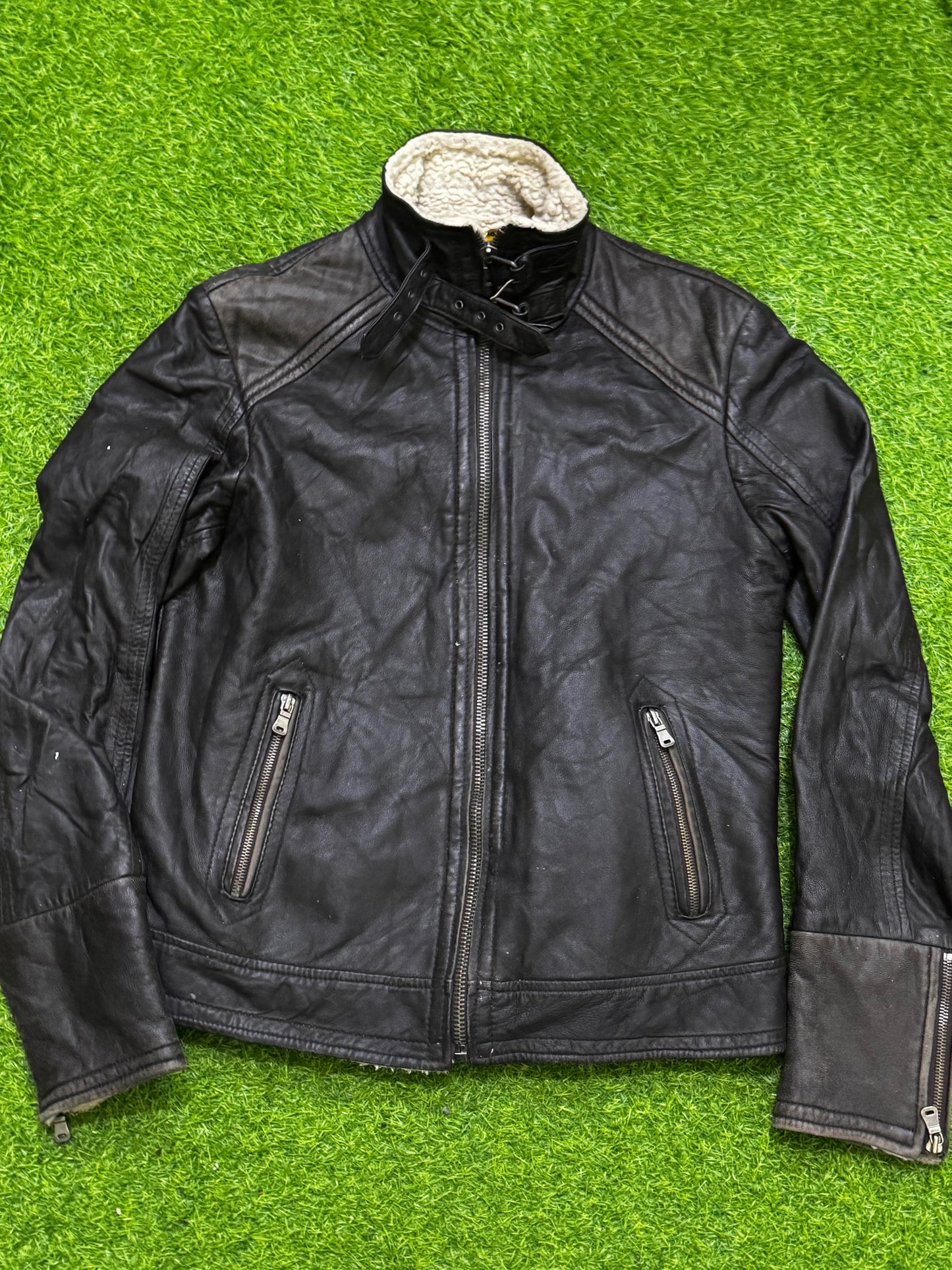 A descriptive alt text for this image