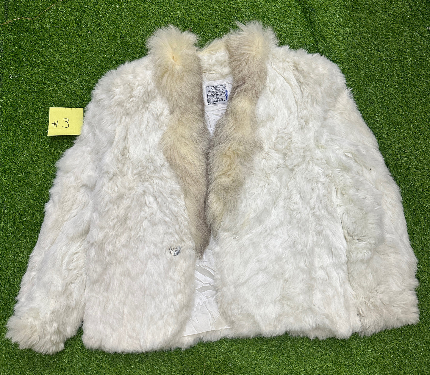 A descriptive alt text for this image