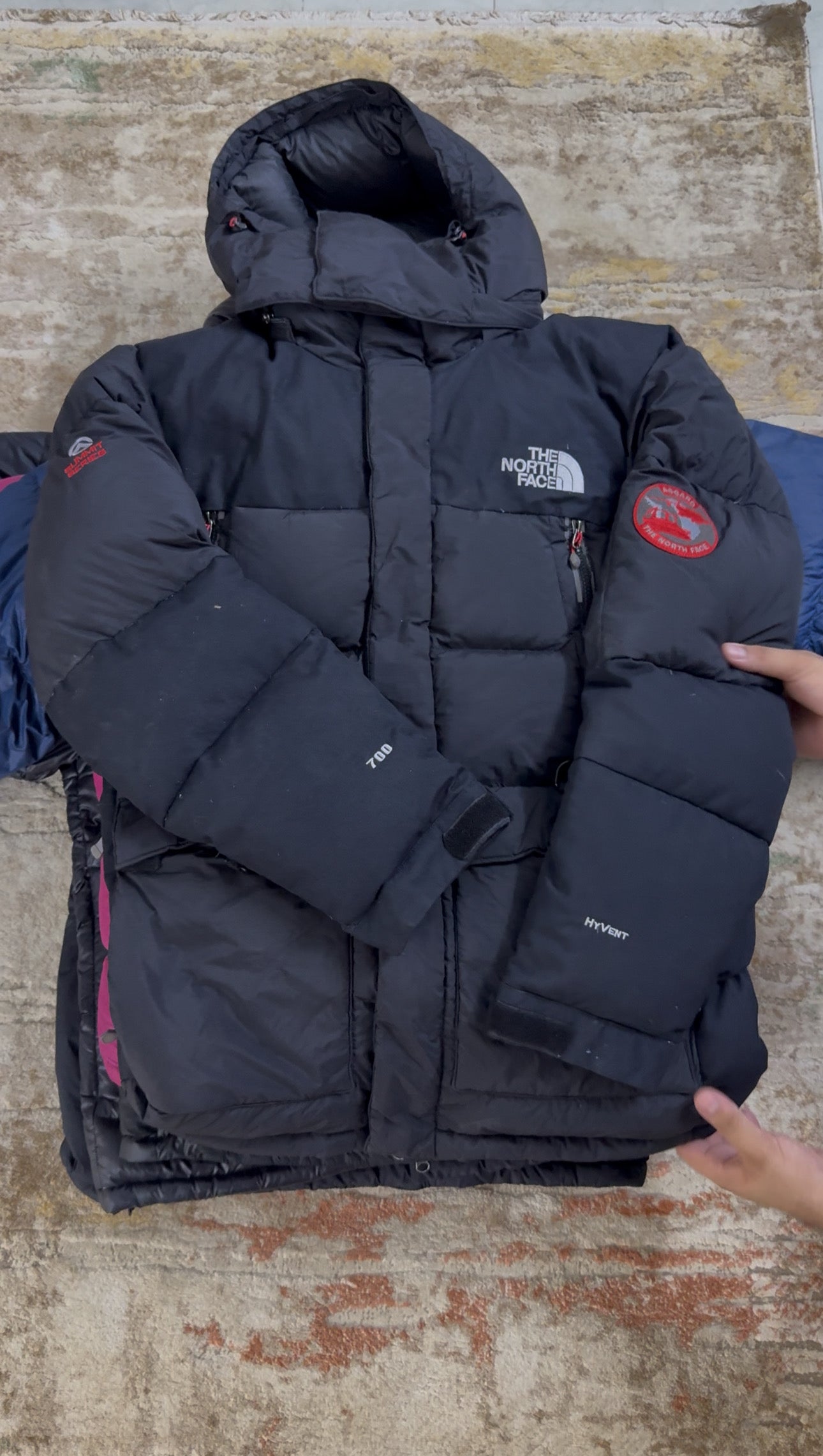 A descriptive alt text for this image