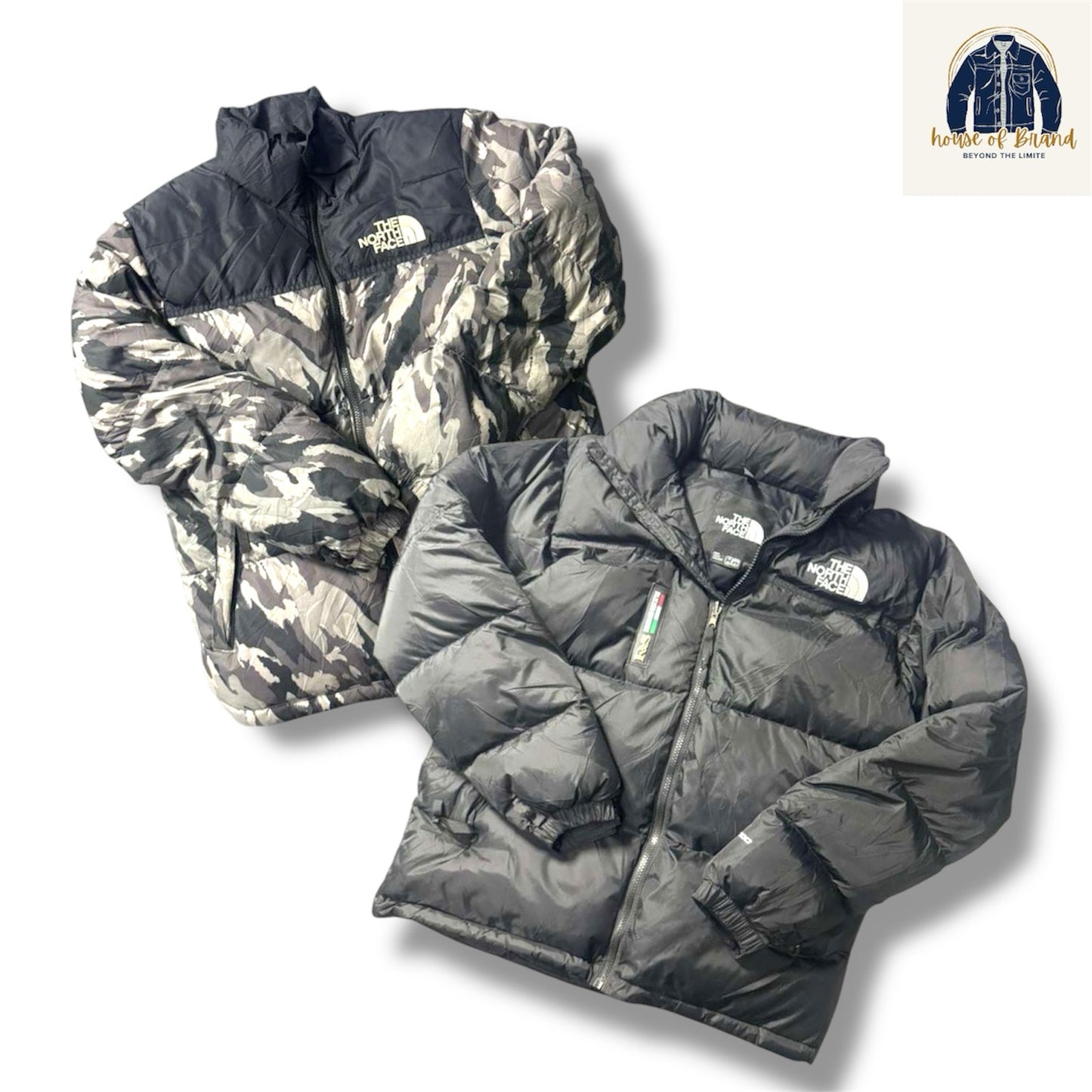 A descriptive alt text for this image