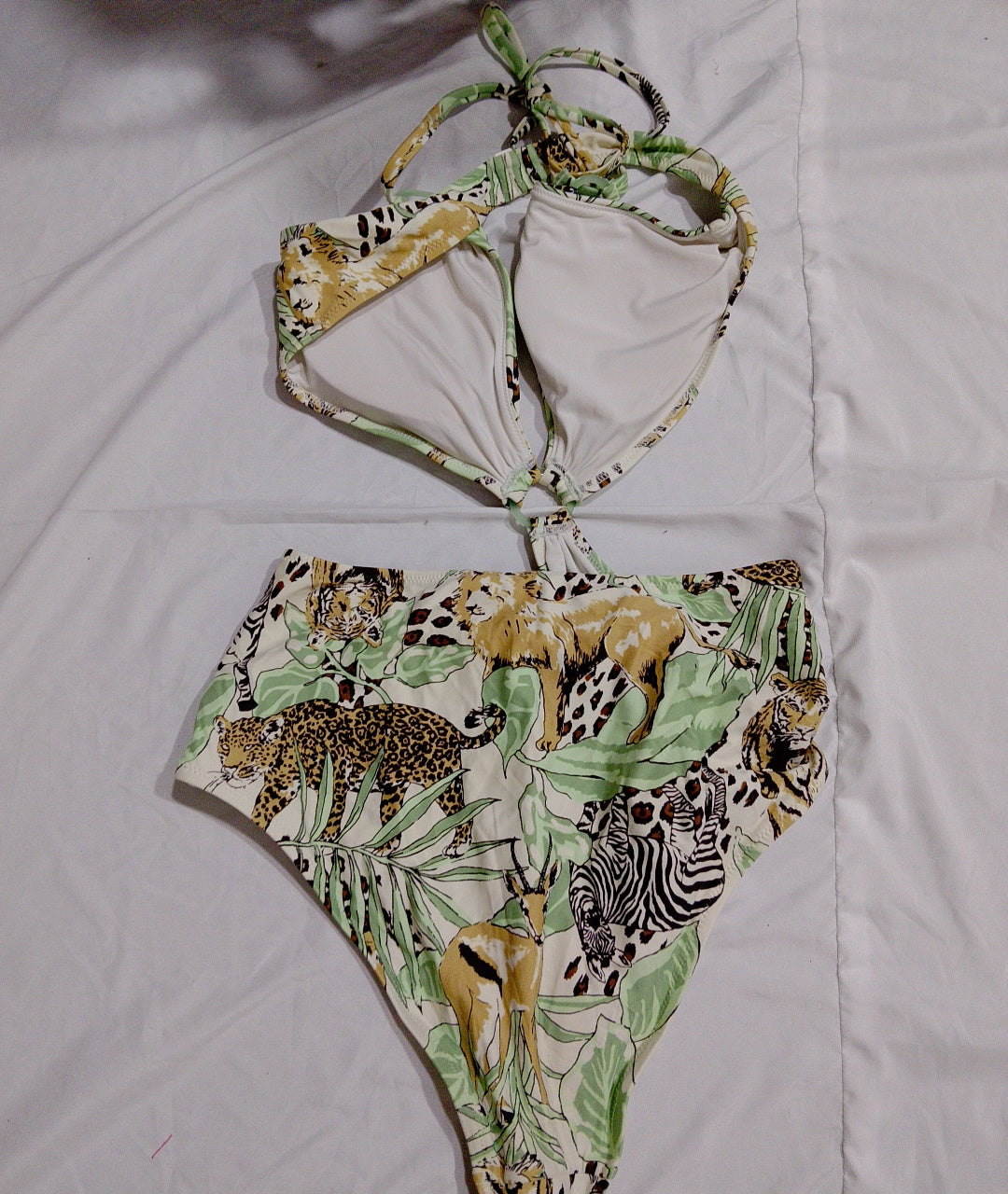 A descriptive alt text for this image