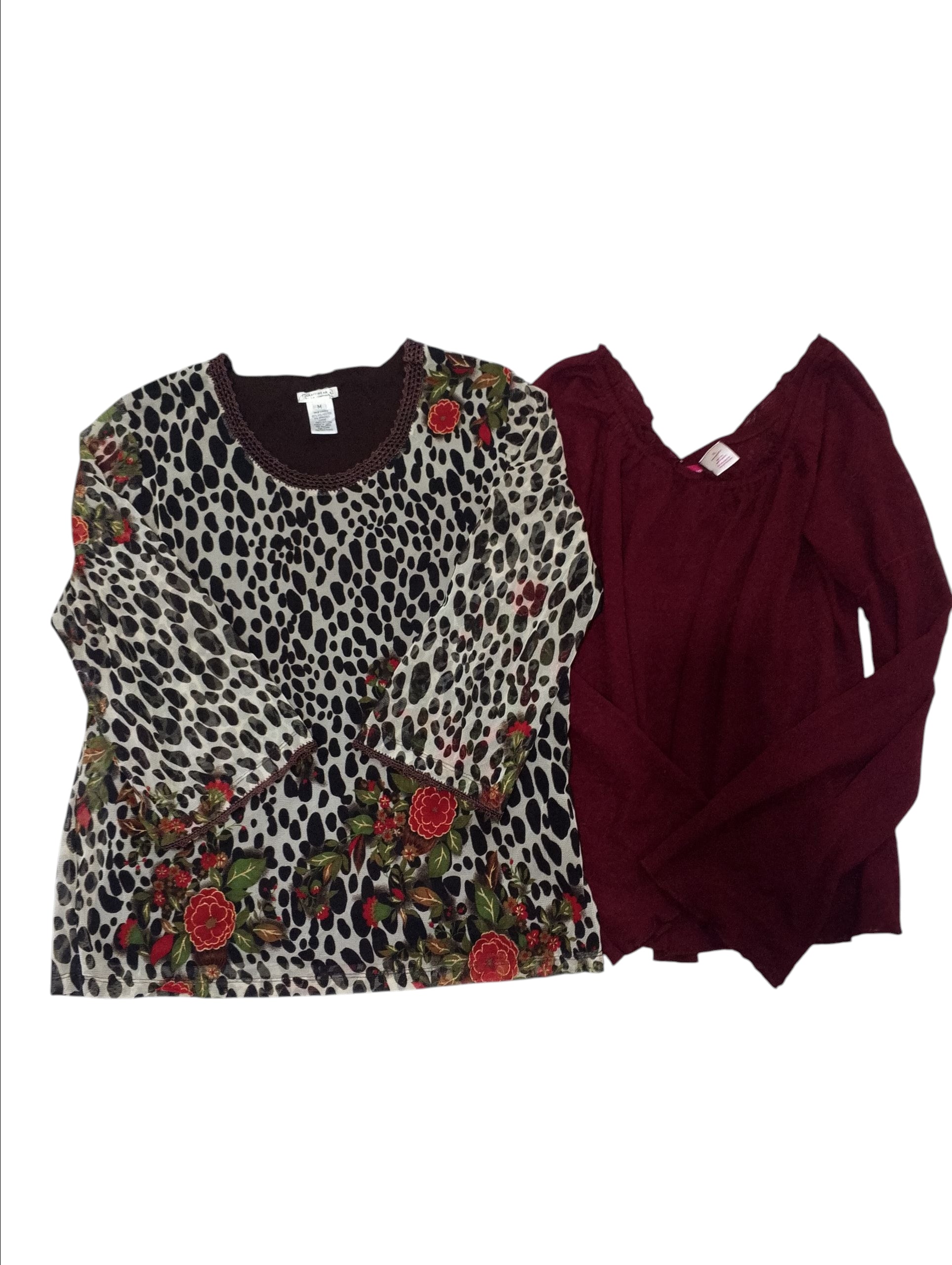 A descriptive alt text for this image