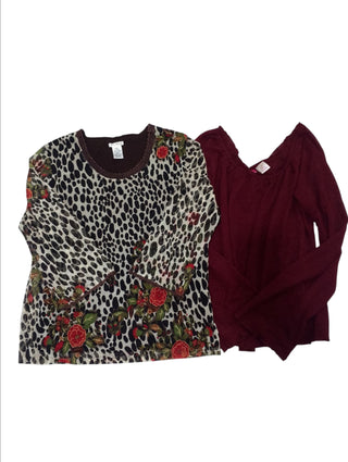 A descriptive alt text for this image