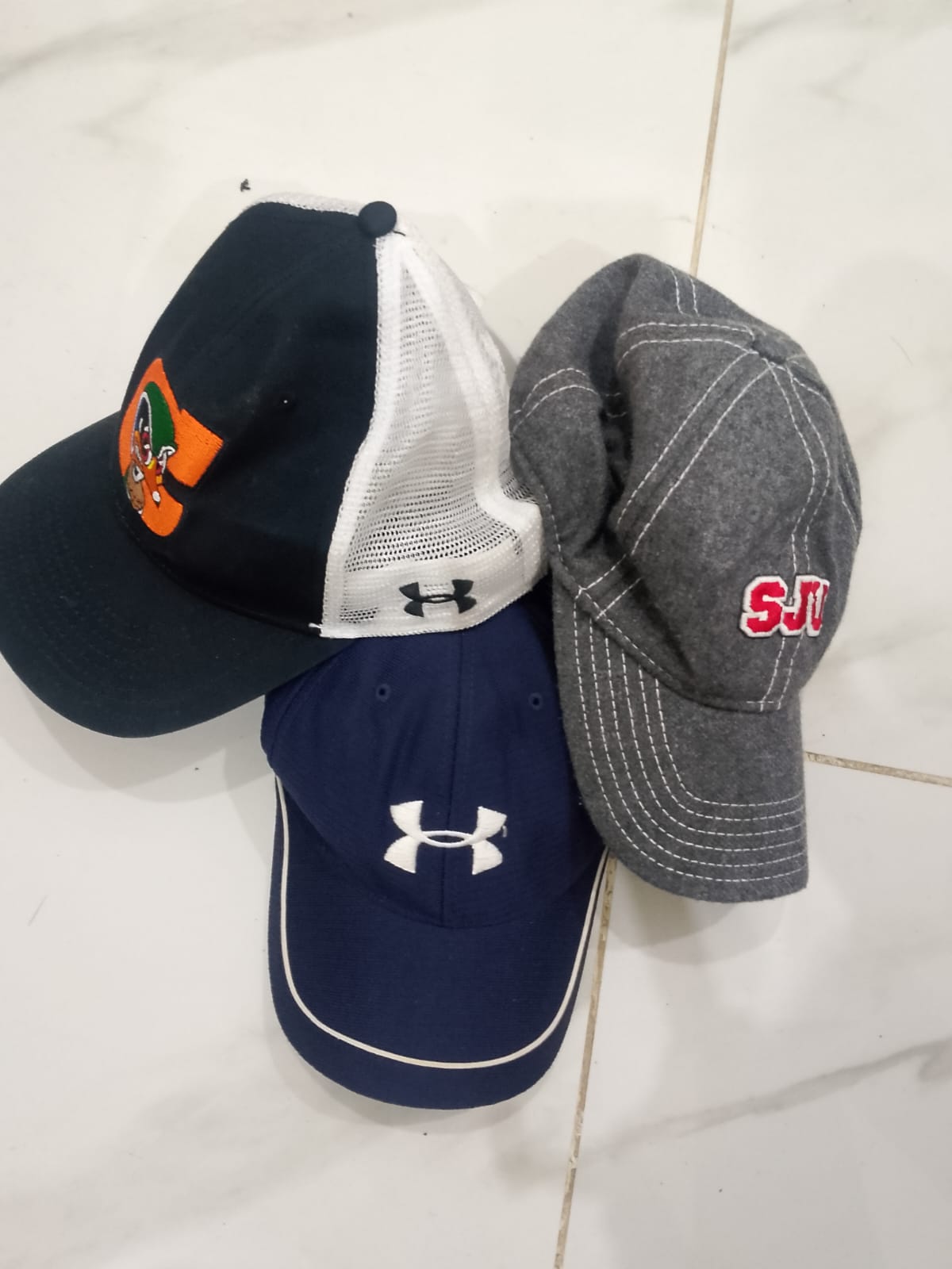 A descriptive alt text for this image