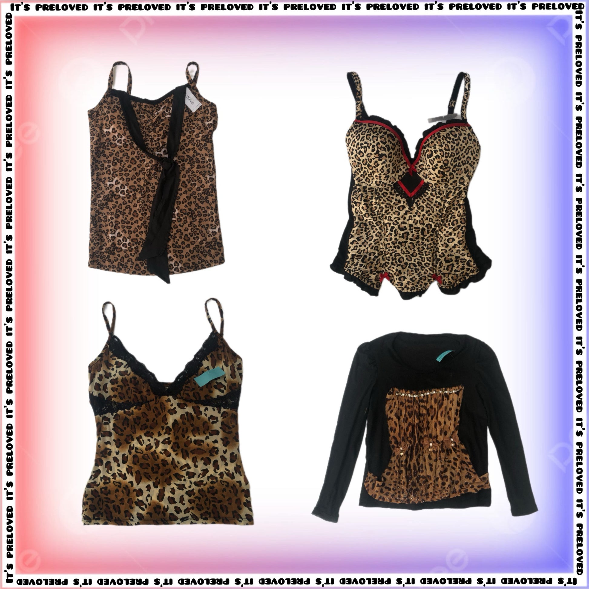 A descriptive alt text for this image