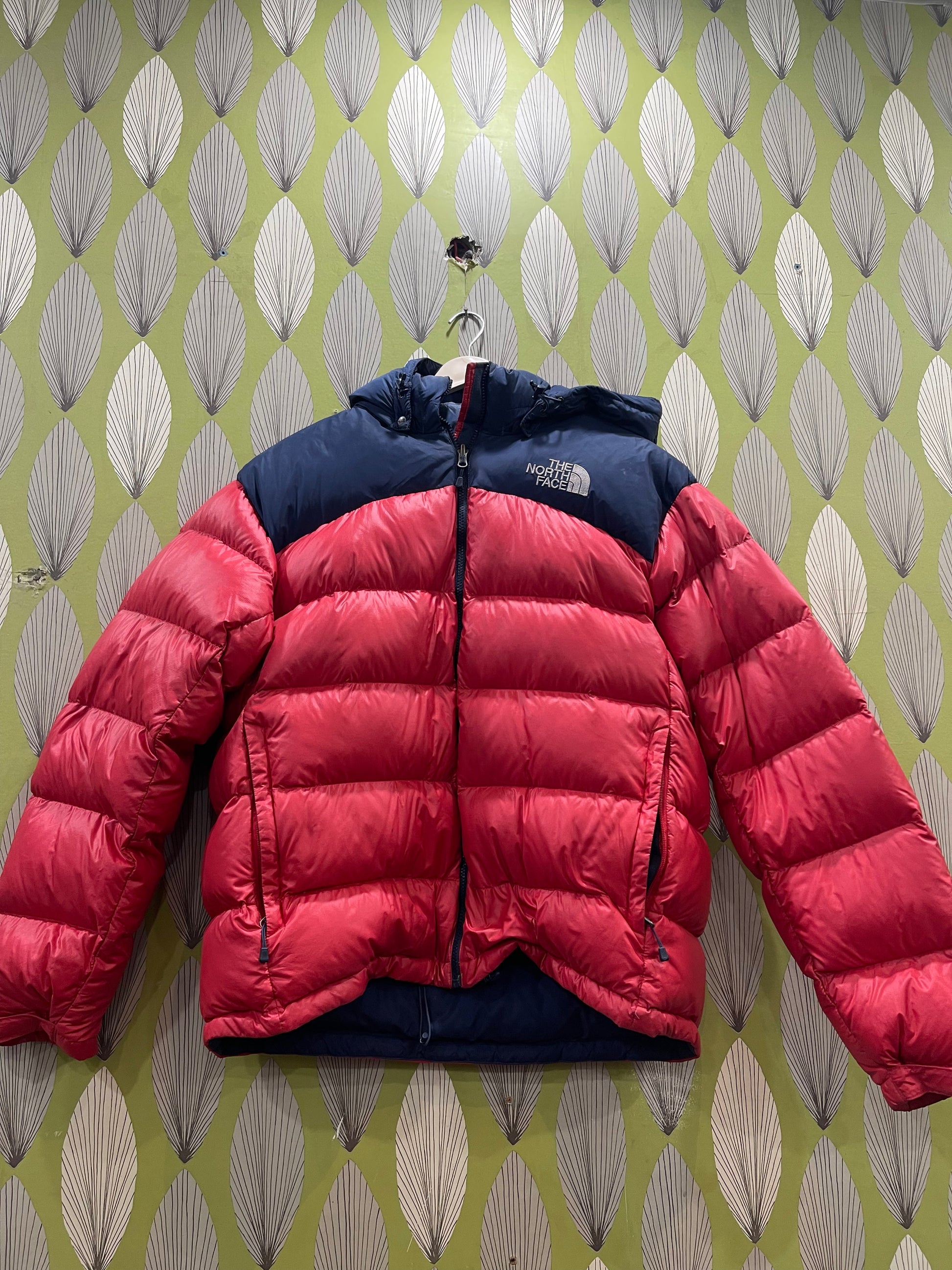 A descriptive alt text for this image