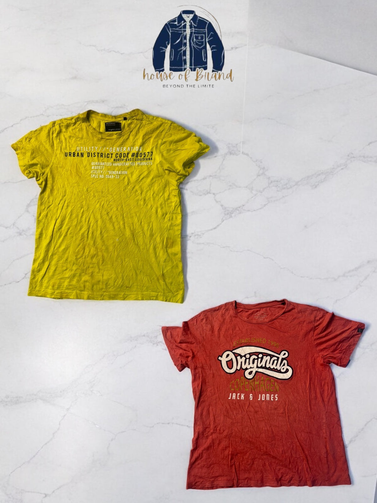 A descriptive alt text for this image