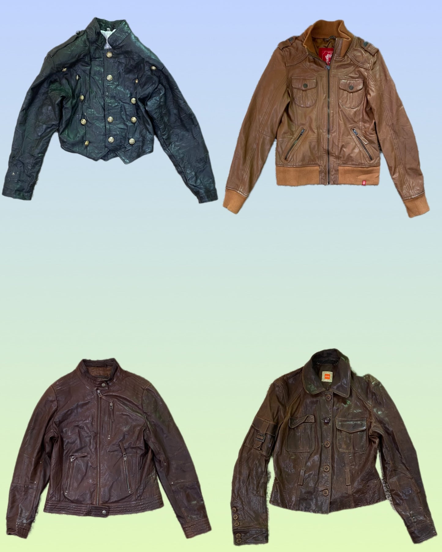 A descriptive alt text for this image