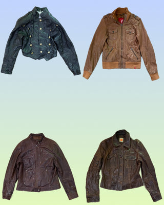 A descriptive alt text for this image