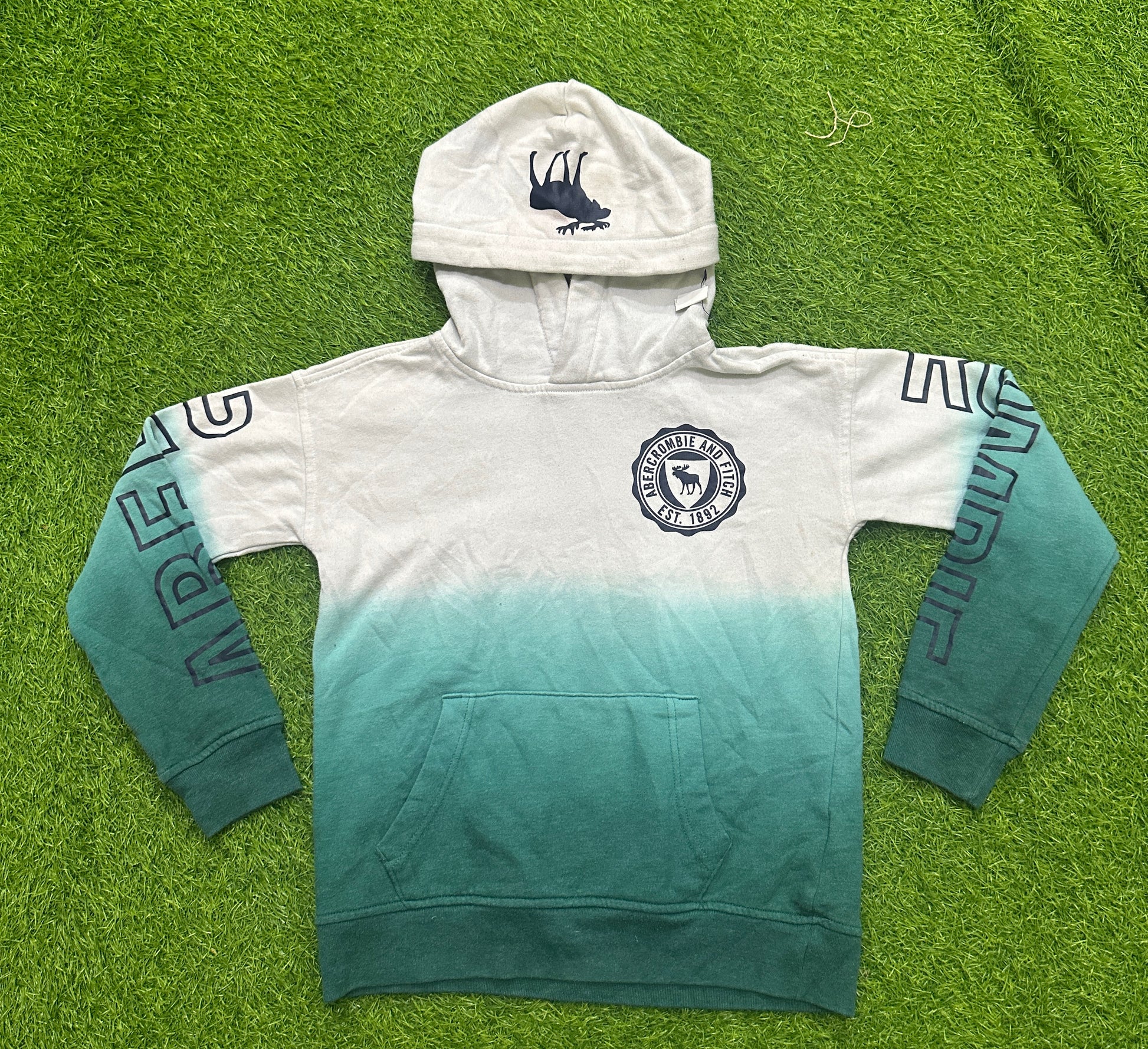 A descriptive alt text for this image