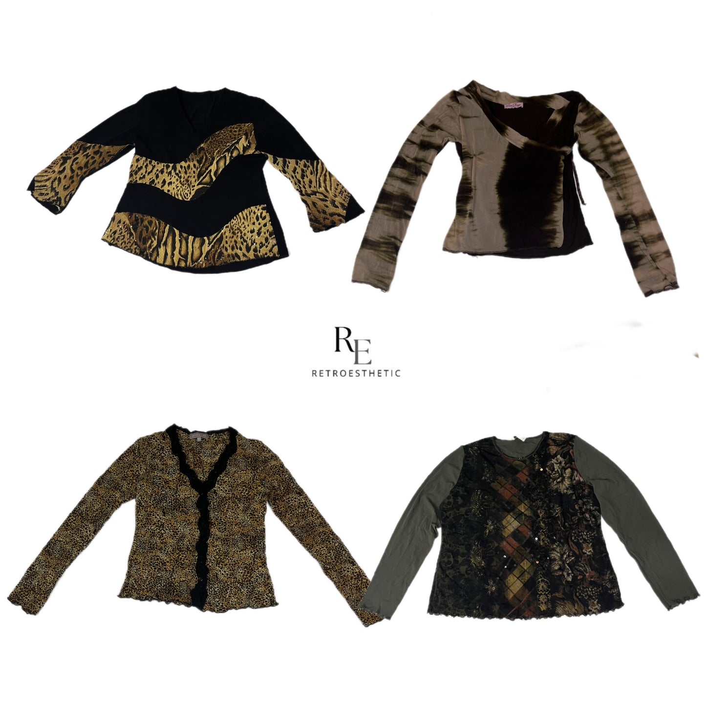 A descriptive alt text for this image