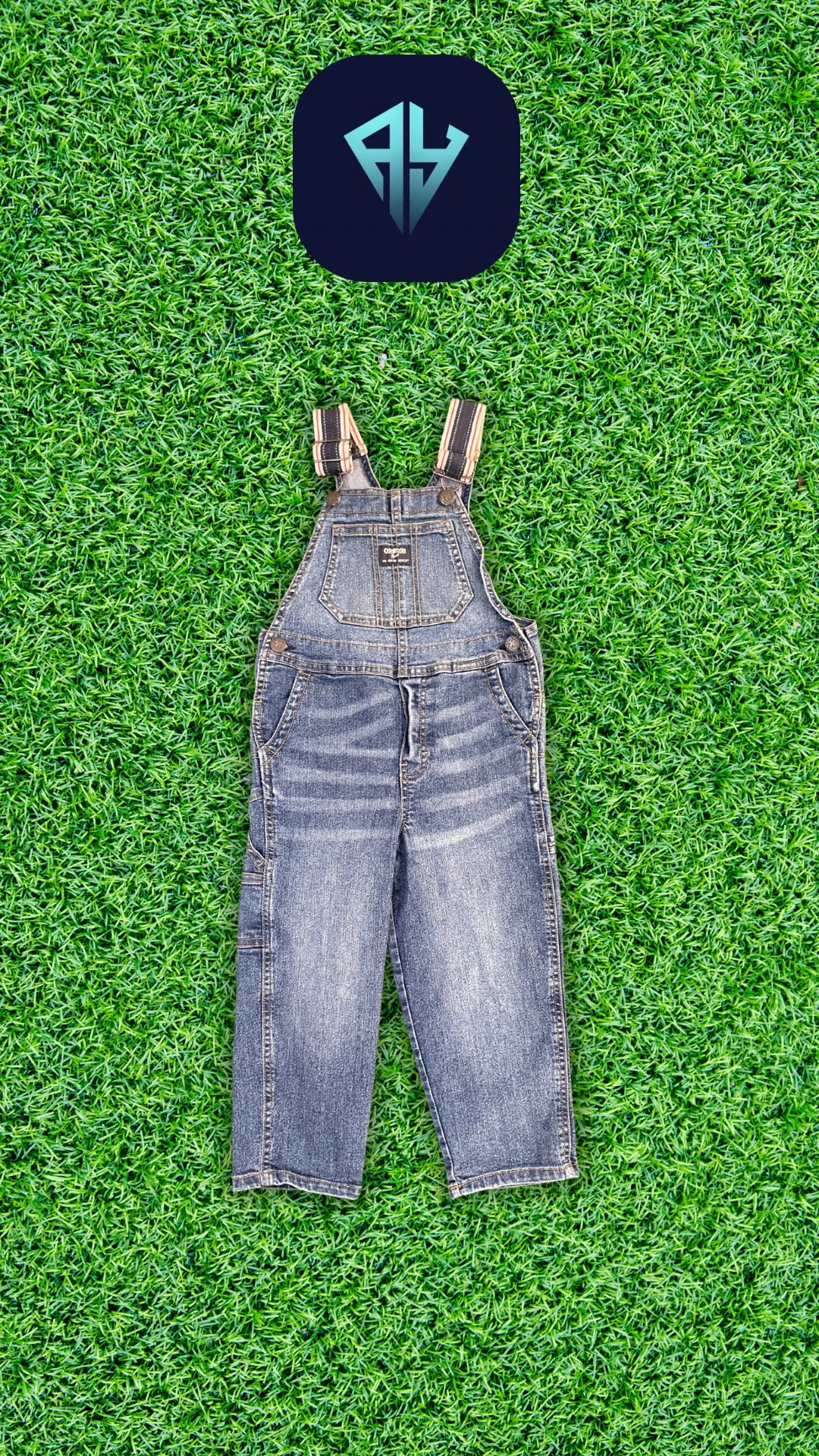 A descriptive alt text for this image