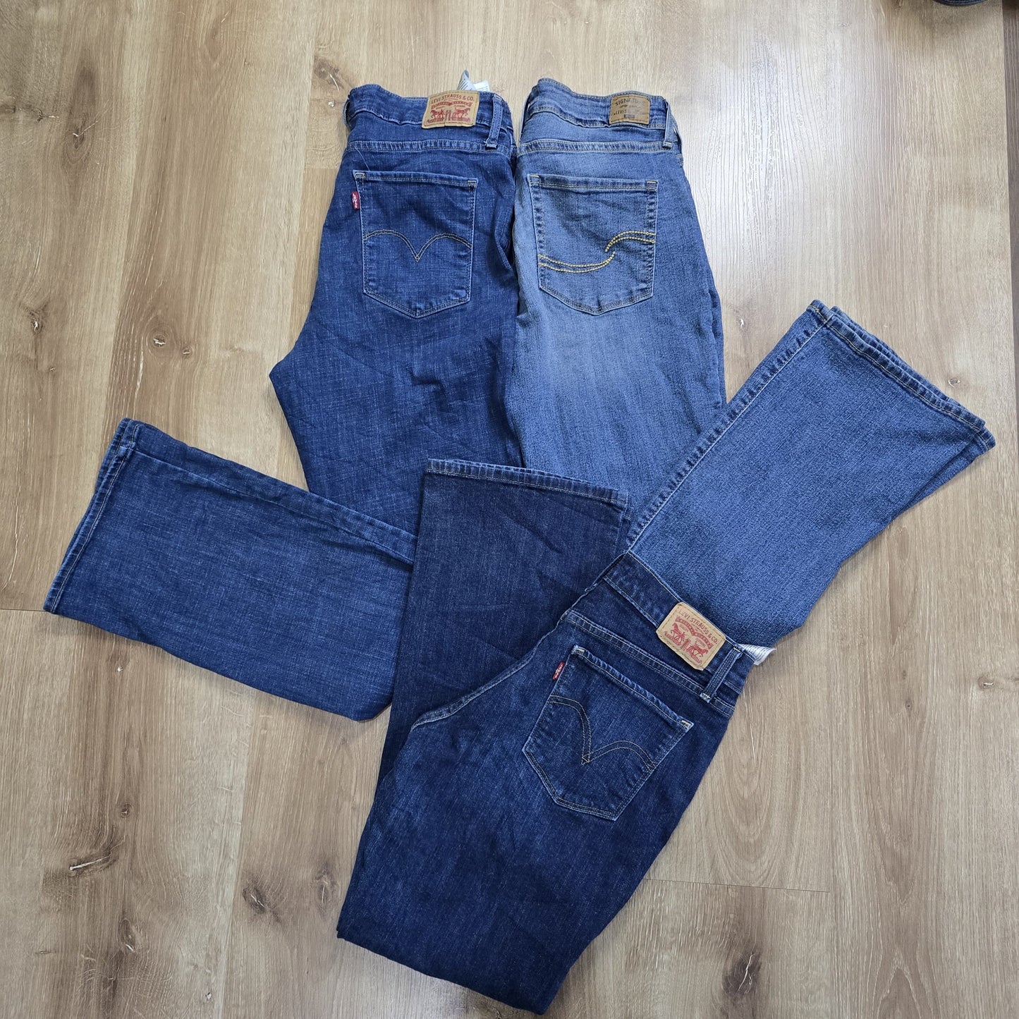 A descriptive alt text for this image