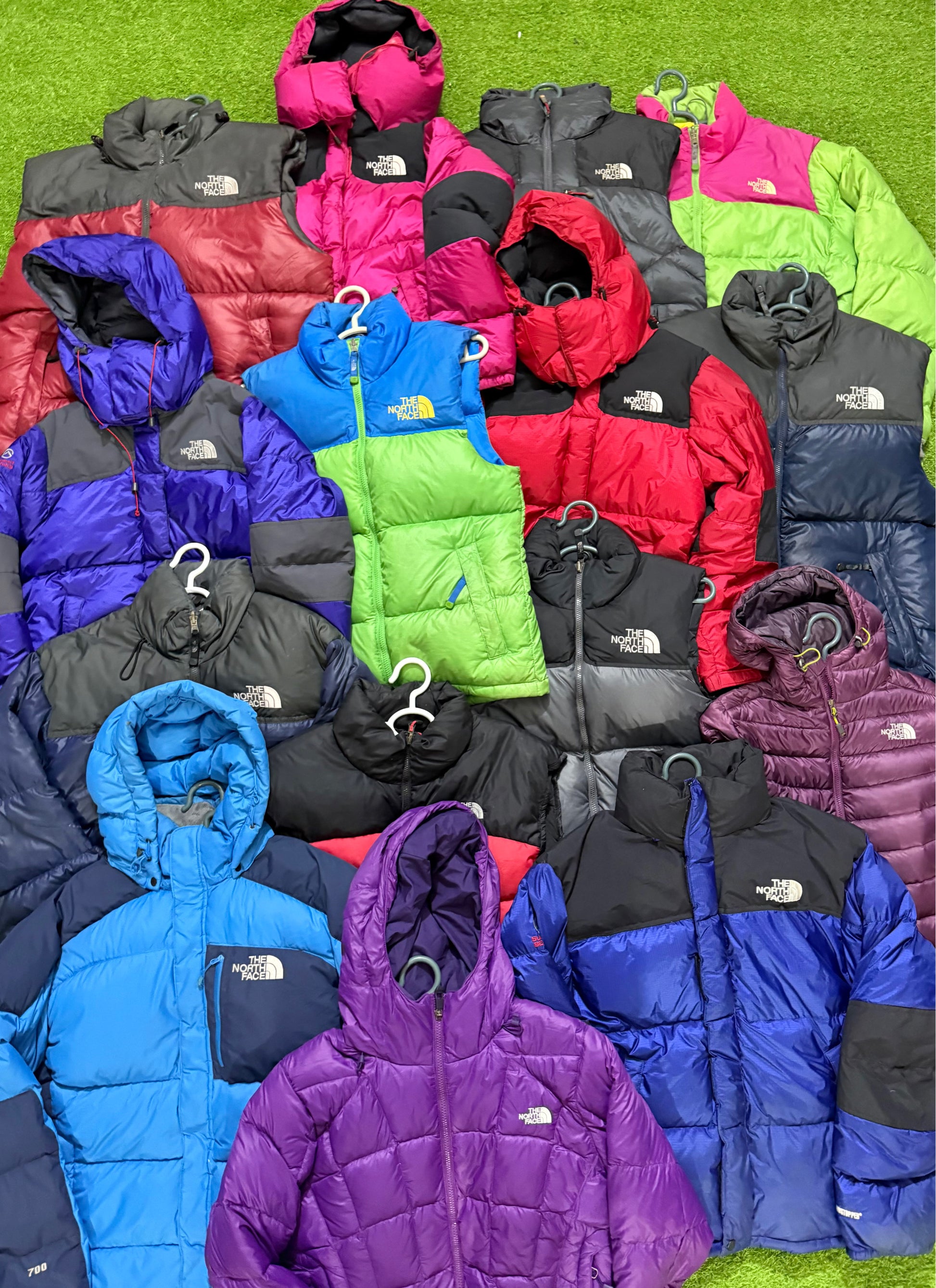 A descriptive alt text for this image